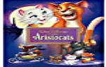 cat video