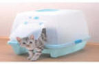 hooded litter box