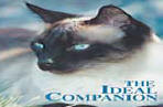 Cat Breeds DVD