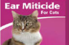 cat ear mite