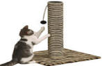 Savvy Tabby Wild West Zebra Print Scratching Post