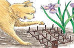 Cat Scat Mats, Set of 5 outdoor cat repellent
