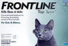 Frontline