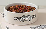cat bowl personalized