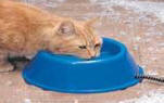 Heated Cat Bowl