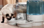 Small cat Feeder & Medium Watering Kit