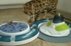 Catit Senses Play Circuit