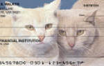 SUPPORT YOUR LOCAL ANIMAL SHELTER - CATS SUPPORT YOUR LOCAL ANIMAL SHELTER - CATS