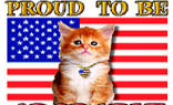 Proud To Be American Cat