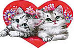 Valentine Kittens