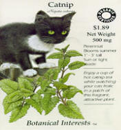 catnip