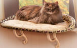Kitty Sill Deluxe with Bolster