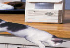 CatScram indoor Cat Repellent