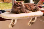 Thermo Kitty Sill - Heated cat bed