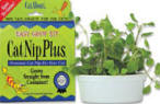 CatNip Plus Easy Grow CatNip Kit