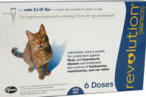 Revolution for Cats 6 Doses