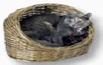 Wicker Cat Bed