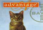 Advantage for Cats