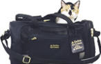 airline approved cat carrier