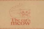 cat throw
