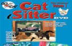 Cat Video
