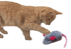 Mouse Cat Toy