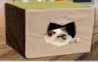 Comf-E-Cube Cat Furniture - 1 Level  