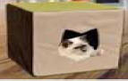 Comf-E-Cube Cat Furniture - 1 Level