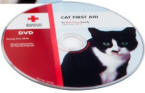 Cat DVD