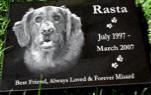Laser Etched Marker Laser Etched Marker