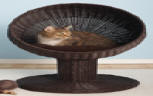 kitty ball wicker cat bed