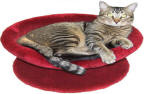 Kitty Bowl Deluxe Bed