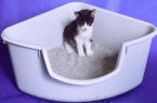 cat litter box