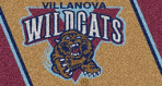 Villanova Wildcats cat Door Mat