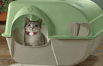 hooded cat litter box