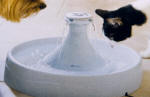 Drinkwell 360 Drinking Cat Fountain