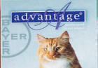 Advantage for Cats