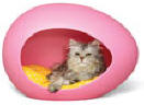 cat bed hooded