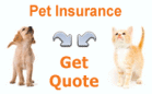 pet_insurance