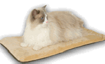 Heated cat bed Mat
